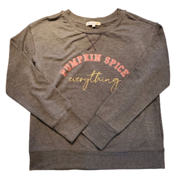 NEW Pumpkin Spice Everything Heather Gray Pullover - Picture 2 of 5